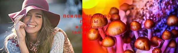 наркотики Абинск